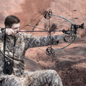 Poulies à poulies pour le tir à l'<span class=keywords><strong>arc</strong></span>, équipement <span class=keywords><strong>de</strong></span> compétition en plein air, jeu d'<span class=keywords><strong>arc</strong></span> et <span class=keywords><strong>de</strong></span> flèches pour Sports d'amusement - Product Image 5