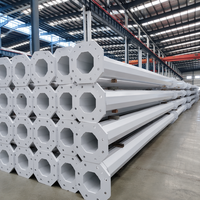 Postes de Alumbrado Público Octogonales OEM ODM de 3m-15m, Personalizados, Galvanizados en Caliente, Acero Q355, para Aplicaciones en Carreteras, CE ISO, Resistentes al Viento de 200km/h