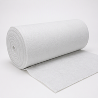 Tissu géotextile non tissé résistant aux UV pour la protection des revêtements de réservoirs, le drainage des décharges et le contrôle de l'érosion côtière