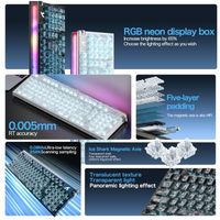 Teclado para Juegos con Cable OEM ODM R98 HE 8000Hz con Efecto Hall, Disparo Rápido de 0.005mm, Diseño de 98 Teclas, Interruptores Magnéticos de Actuación Ajustable