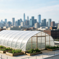 Serre agricole et commerciale pour tomates 30x8m en promotion en Pologne