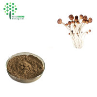 ISO Biologisch Gecertificeerd Agrocybe Aegerita Tea Tree Paddenstoelenextract Polysaccharide