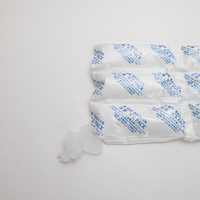 Pack de glace sèche Super absorbante, nouvelle vente 2023, pour la livraison de nourriture