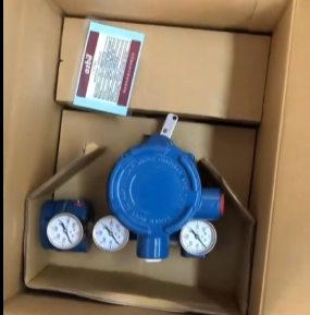 Instrumento de Control Industrial Inteligente AVP301 100% Original con Entrada de 4-20mA, Carcasa de Aluminio y Protección IP66 - Product Image 6