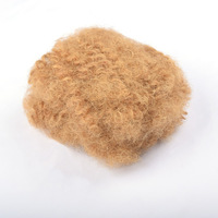 Cheveux humains brésiliens Remy non traités FYD Micro-Link 30g Afro Kinky Bulk pour tresses et torsades