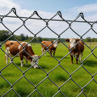 Clôture en treillis galvanisé robuste, fil de 2,5 mm, largeur de 2,0 m, pour ferme, jardin, autoroute, installations publiques, écoles, terrains de jeux