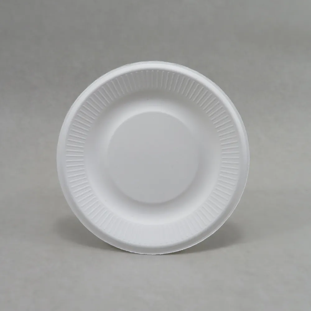 100% Compostable Bagasse 6" Ribbed Paper Plates