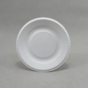 100% Compostable Bagasse 6 "Ribbed 종이 접시
