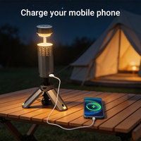 Lanterne de camping LED portable 13000mAh, étanche IP65, à intensité variable, magnétique, télescopique, pour le camping