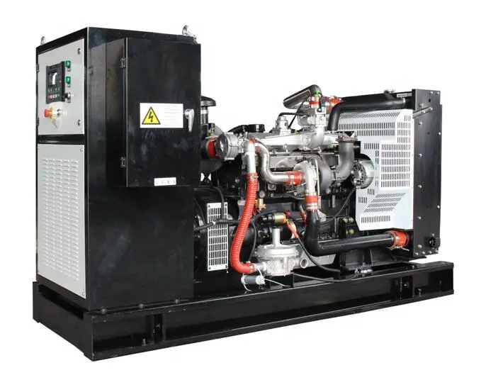 Cng <span class=keywords><strong>Lng</strong></span> Methaan 30kw 40kw Gas Genset Gas Generator