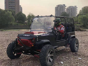 Vehículo Todoterreno 4x4 en Venta, Buggy para Playa, Go Kart, Auto Eléctrico, Mini Jeep, Dune Buggy, Jeep Clásico de 4 Plazas - Product Image 5