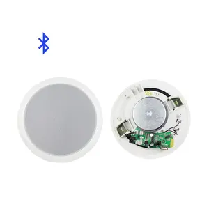 Anti-Noise Sound Masking Speakers 10W 6inch PA Ceiling Speaker For Paging Music Signals Public Address System