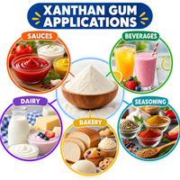 Gomme Xanthane en Poudre en Gros, Épaississant Alimentaire Hydrosoluble et Stabilisant pour Crèmes Glacées, Boissons et Sauces – Approvisionnement Direct Usine