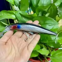 Leurre de pêche coulant robuste et grand format 120mm, Jig rigide à longue portée, Crankbait pour Carpe et Bar rayé, Matériel de pêche