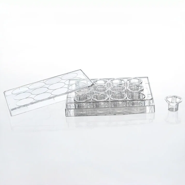 Cell Migration Co-culture Study Sterile Tissue Culture Plate Inserts PC/PET Membrane 6/12/24 Well DNase/RNase-Free