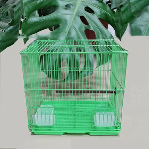 ขายส่งนกพิราบขนาดใหญ่สำหรับเพาะพันธุ์ - Product Image 2