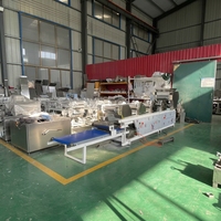Machine électrique à rouleaux en acier inoxydable pour la fabrication quotidienne de nouilles fraîches à base de blé
