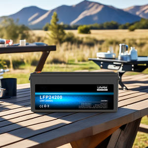 24v太阳能电池Lifepo4深循环12V 200ah锂离子电池组，用于RV高尔夫球车的铅酸更换 - Product Image 3