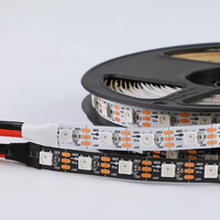 Bande LED RGBIC adressable WS2811 DC12V/24V IP67 5m 30/60 LED, flexible en cuivre, télécommande, éclairage paysager