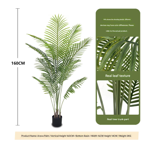 Pot noir 1,6 m (densité accrue Areca Palm)