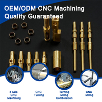 Piezas Metálicas de Alta Calidad Mecanizadas por CNC en Acero Inoxidable/Latón/Cobre/Bronce, Torneado, Fresado, Taladrado, Superficie Anodizada