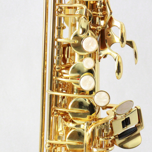 Saxofón <span class=keywords><strong>alto</strong></span> OEM <span class=keywords><strong>para</strong></span> principiantes y estudiantes Saxofón <span class=keywords><strong>alto</strong></span> de color dorado en tono EB con estuche rígido y <span class=keywords><strong>boquilla</strong></span> de accesorios - Product Image 2