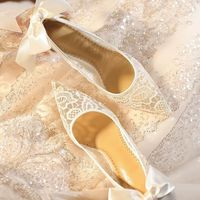 Sepatu Pengantin Wanita Mewah Elegan Ukuran 33-42, Hak Stiletto, Ujung Runcing, Aksen Pita Satin, Berbahan Lace