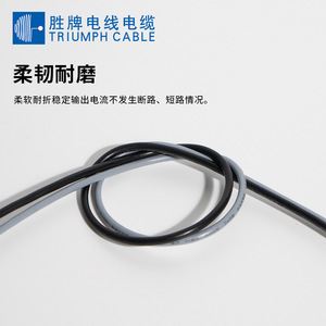 Triumph Cable Ul2547 Multi Core Pvc Shielded Signal Cable 28-18awg <b>For</b> <b>Lighting</b> Fixtures And Power <b>Cords</b> - Product Image 4