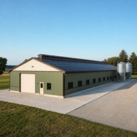 Structure en acier préfabriquée pour élevage avicole, entrepôt Q355B, charpente portique, ventilation, silo à alimentation solaire, bétail