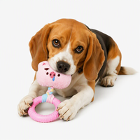 Jouets en peluche pour chiens, mignons et résistants, en TPR, vente en gros