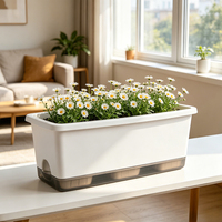 Jardinière rectangulaire auto-arrosante en résine épaissie pour balcon et rebord de fenêtre, idéale pour les grossistes et les détaillants