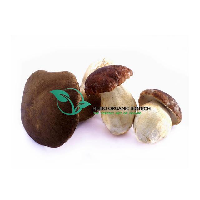 Целые/ломтики Грибов Porcini Boletus edulis