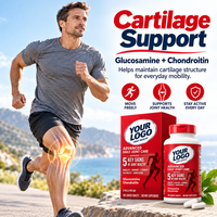 Comprimés de Glucosamine et Chondroïtine OEM pour le Soin Quotidien des Articulations, Nutrition pour la Mobilité, Complément Alimentaire, Fabricant et Grossiste en Marque Blanche