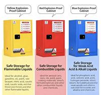 Armoire de sécurité industrielle ignifuge et anti-explosion pour le stockage de produits dangereux, d'alcool, de batteries au lithium et de bouteilles de gaz
