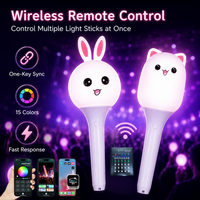 Barra de Luz Personalizada con Personajes, Varita LED de 15 Colores para Kpop con Control DMX512 de 2.4G, 3 Pilas AAA, Logotipo OEM para Eventos de Fans