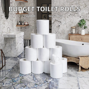 Kích thước tùy chỉnh cuộn giấy vệ sinh 2 lớp có giá kinh tế không dễ bị nứt nóng bán - Product Image 3