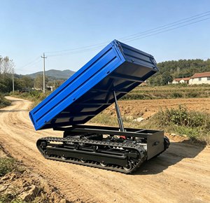 Mini Dumper RC Elettrico Telecomandato, Camion Ribaltabile da 1 Tonnellata, Trasportatore Multiuso per Agricoltura e Industria - Product Image 4