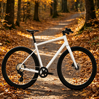 Gravel Bike G2max Aluminiumlegierung-Rahmen 12-Gang Carbonfaser-Gabel 700C Breitreifen Hydraulische Scheibenbremse Flachlenker Plattformpedale