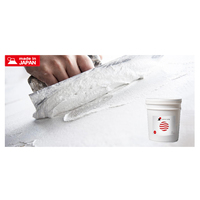 Air fresh disinfect natural residential material lime interior wall clay plaster painting