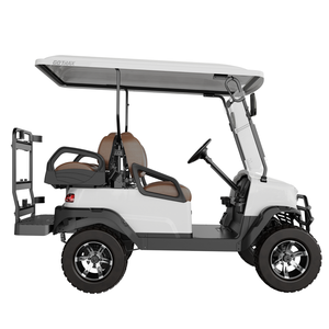 Carritos Utilitarios Chinos Económicos Tao Motor 2026, 5-6 Asientos, 30 km/h, Autonomía de 70-90 km, Carrito de Golf con Batería - Product Image 3