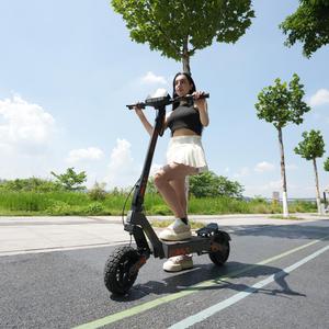 Patinete Eléctrico Plegable Todoterreno para Adultos, Personalizado por el Fabricante, 48V 15.6Ah 800W, con Doble Freno de Disco, Neumático de Vacío de 10 Pulgadas - Product Image 1