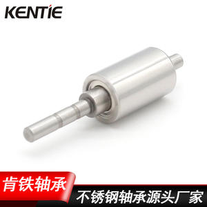 Fabricant produit des roulements à billes à gorge profonde en acier inoxydable 316 résistant à la corrosion, non standard, double rangée pour le prototypage - Product Image 4