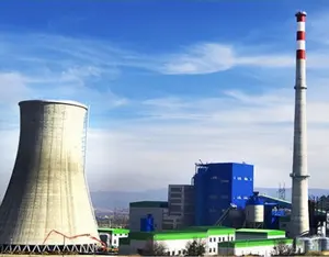 Coal fired and Biomass fired Power Plant EPC Turnkey Projects