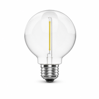Ampoule à filament LED de haute qualité G16.5 S14 1 filament 1W 70lm 2200-6500K CRI 90+ pour guirlande lumineuse
