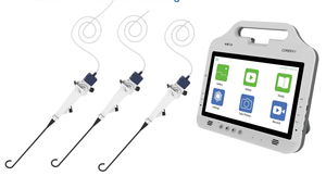 Endoscope électronique portable flexible numérique pour usage vétérinaire, vidéo-otoscopie, <span class=keywords><strong>bronchoscope</strong></span> flexible, laryngoscope - Offre Spéciale - Product Image 6