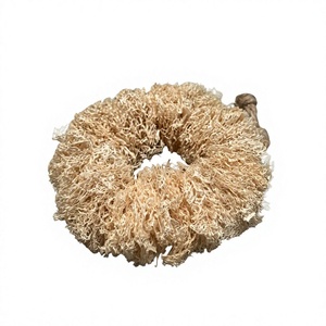 Esponja de Lufa Redonda de Alta Calidad Disponible para OEM, Exfoliante Ecológico para Cuerpo y Platos - Product Image 1