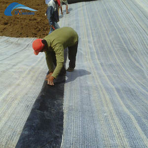 Couverture imperméable auto-scellante de bentonite de sodium GCL pour les revêtements de décharge - Product Image 6