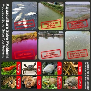 Distributeur de sel composite <span class=keywords><strong>monopersulfate</strong></span> de potassium à 20 % pour la modification du fond des bassins d'aquaculture, purification et oxygénation des crevettes et crabes - Product Image 3