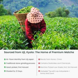 Matcha Puro de Uji, Grado Ceremonial, Té Verde Japonés en Polvo Premium, Auténtico de Kioto, Primera Cosecha, Lata de 100g - Product Image 2