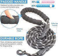 Laisse de chien en Nylon réfléchissant à la mode à dégagement rapide poignée en mousse souple Simple crochet en alliage de Zinc corde d'escalade Durable sécurité nocturne